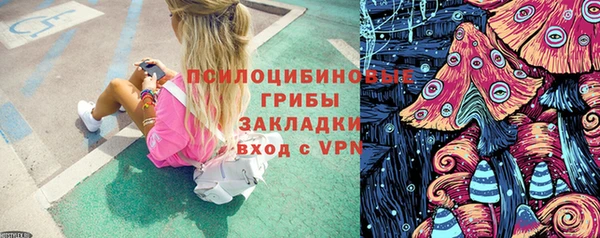 метадон Арсеньев