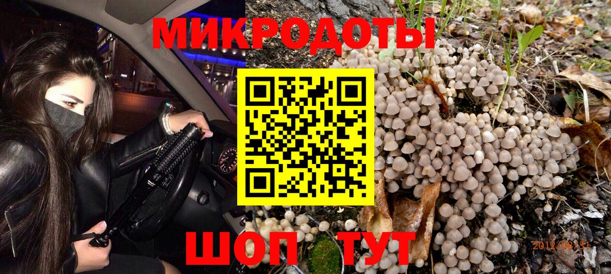 Псилоцибиновые грибы прущие грибы Беслан